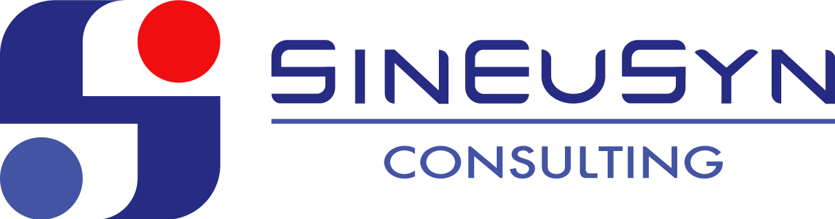 SinEuSyn Consulting